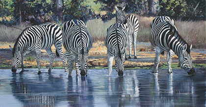 Pip McGarry, Original oil painting on canvas, Zebras Drinking, Botswana, click to enlarge