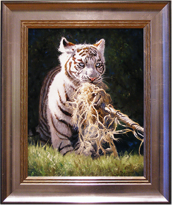 Pip McGarry, Original oil painting on canvas, White Tiger Cub, click to enlarge