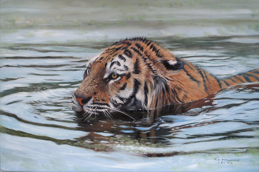 Pip McGarry, Original oil painting on canvas, Tiger in Water 18x12ins ...