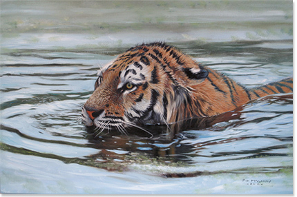 Pip McGarry, Original oil painting on canvas, Tiger in Water 18x12ins ...