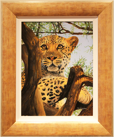 Pip McGarry, Original oil painting on canvas, African Leopard in Tree, click to enlarge