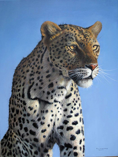 Pip McGarry, Original oil painting on canvas, Leopard Portrait, Savute ...