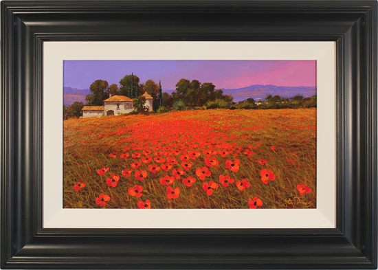 Steve Thoms, Original oil painting on panel, Field of Tuscan Poppies, click to enlarge