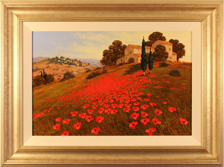 Steve Thoms, Original acrylic painting on board, Tuscan Poppies, click to enlarge