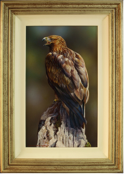 Wayne Westwood, Original oil painting on panel, Golden Eagle, click to enlarge