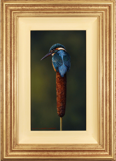 Wayne Westwood, Original oil painting on panel, Kingfisher, click to enlarge