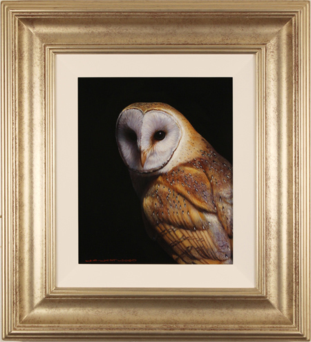 Wayne Westwood, Original oil painting on panel, Barn Owl, click to enlarge