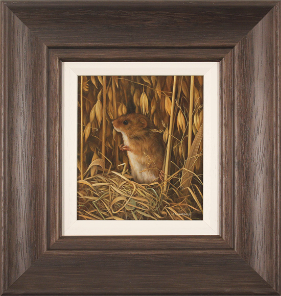 Carl Whitfield, Original oil painting on panel, Harvest Mouse