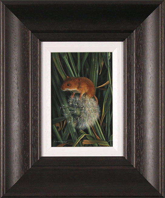 Carl Whitfield, Original oil painting on panel, Field Mouse, click to enlarge