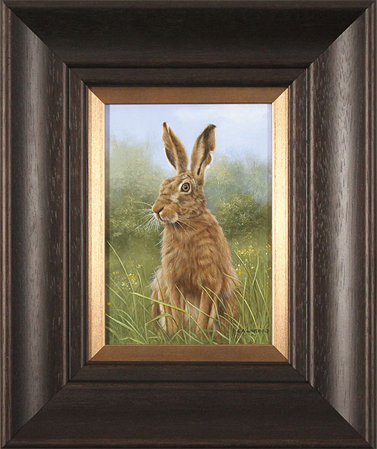 Carl Whitfield, Original oil painting on panel, Hare, click to enlarge