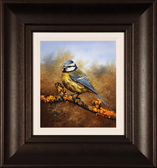 Carl Whitfield, Original oil painting on panel, Blue Tit, click to enlarge