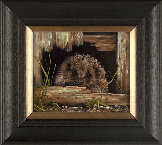 Carl Whitfield, Original oil painting on panel, Hedgehog