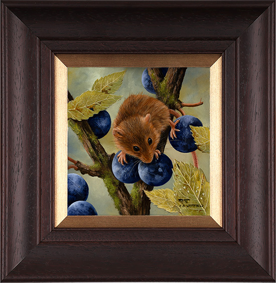 Wildlife and Animals, fine art category click here