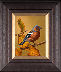 Carl Whitfield, Original oil painting on panel, Chaffinch