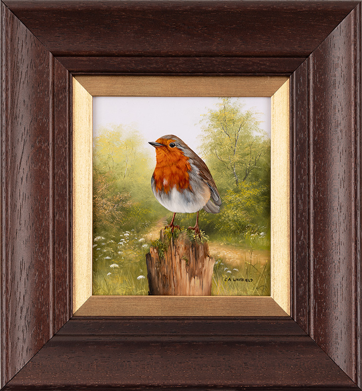 Carl Whitfield, Original oil painting on panel, Robin