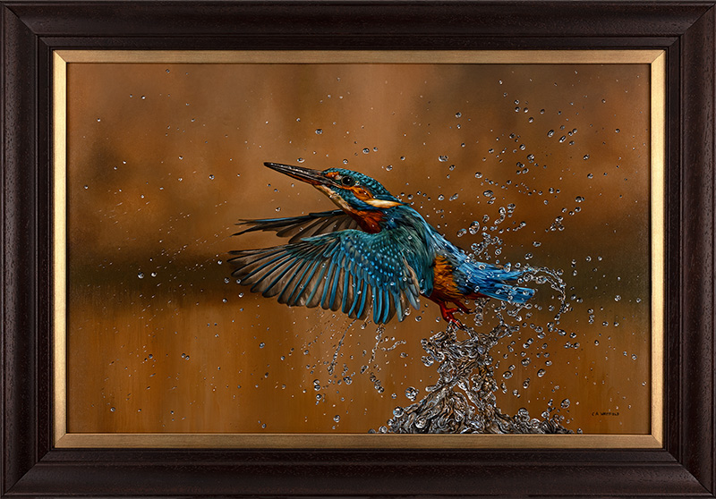 Carl Whitfield, Original oil painting on panel, Kingfisher