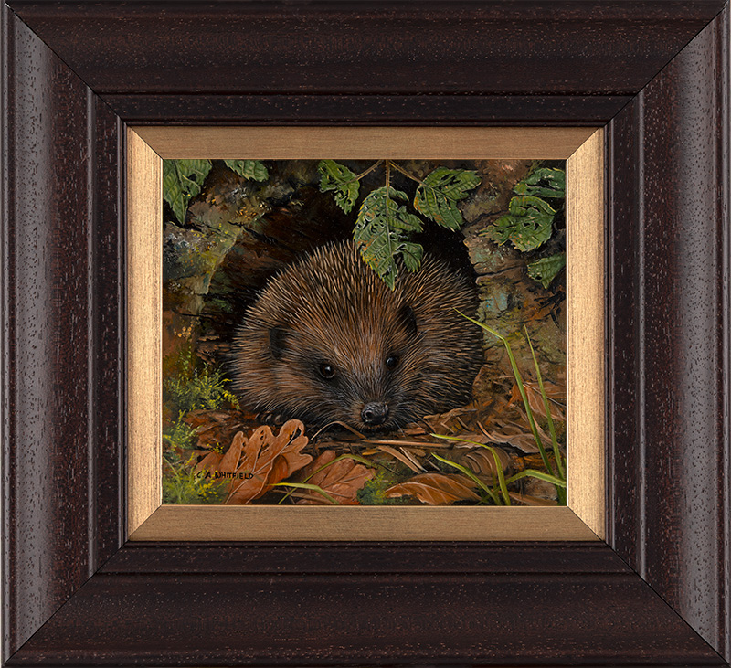Carl Whitfield, Original oil painting on panel, Hedgehog