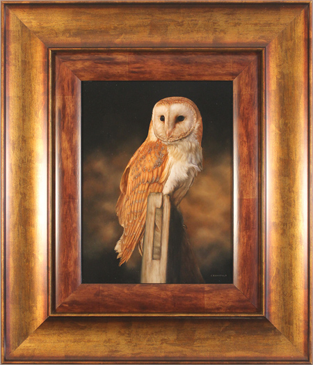 Carl Whitfield, Original oil painting on panel, Barn Owl, click to enlarge