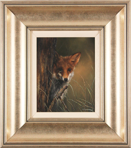 Carl Whitfield, Original Oil Painting On Panel, Fox In The Grass 6x8ins 