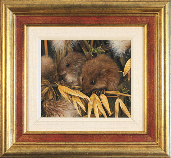 Carl Whitfield, Original oil painting on panel, Harvest Mice, click to enlarge