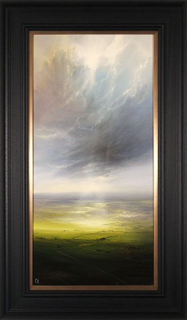 Clare Haley, Original oil painting on panel, Up and Away
