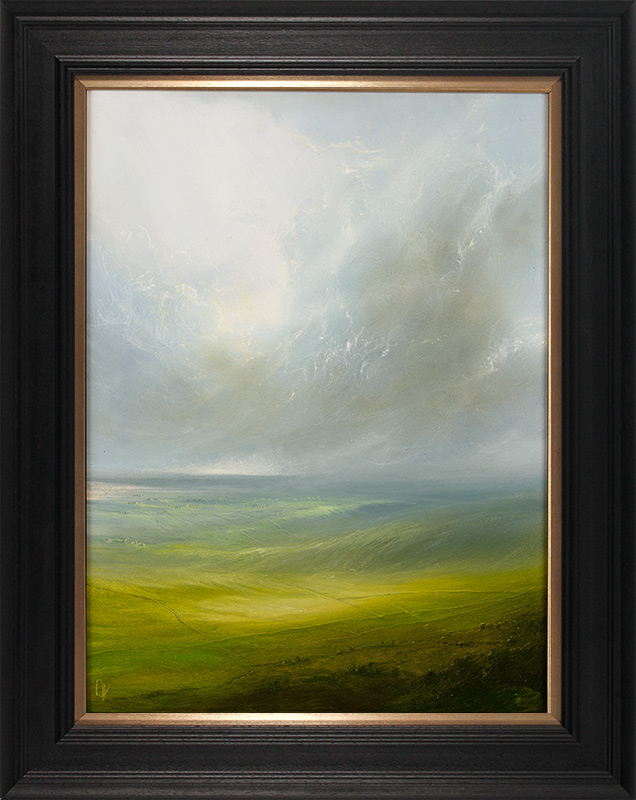 Clare Haley, Original oil painting on panel, Morning Glory