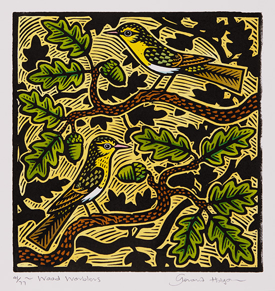 Gerard Hobson, Original linocut print, Wood Warblers, click to enlarge