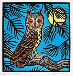 Gerard Hobson, Original linocut print, Owl in Pine Tree