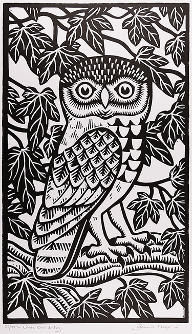 Gerard Hobson, Original linocut print, Little Owl and Ivy