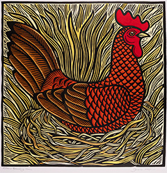 Brooding Hen