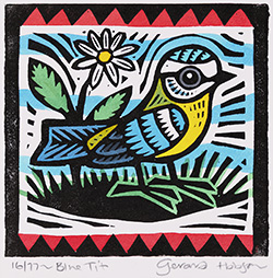Blue Tit