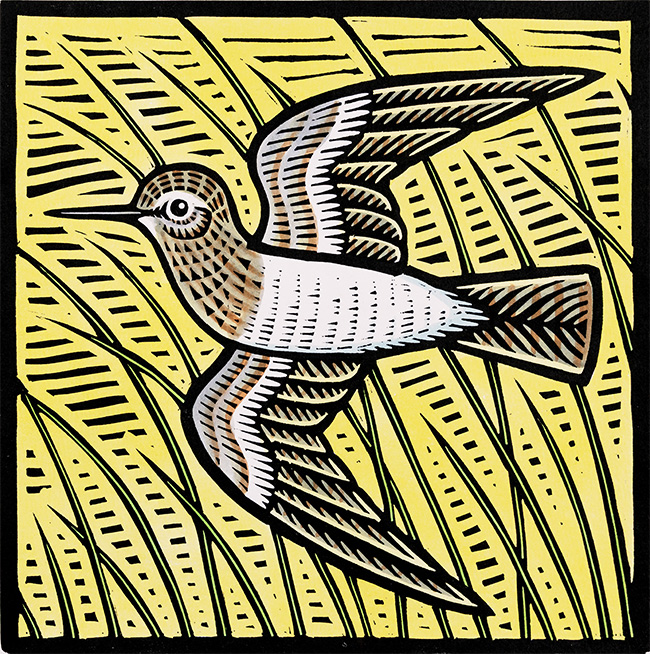 Gerard Hobson, Original linocut print, Sandpiper