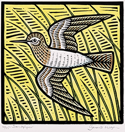 Gerard Hobson, Original linocut print, Sandpiper