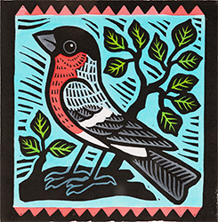 Bullfinch
