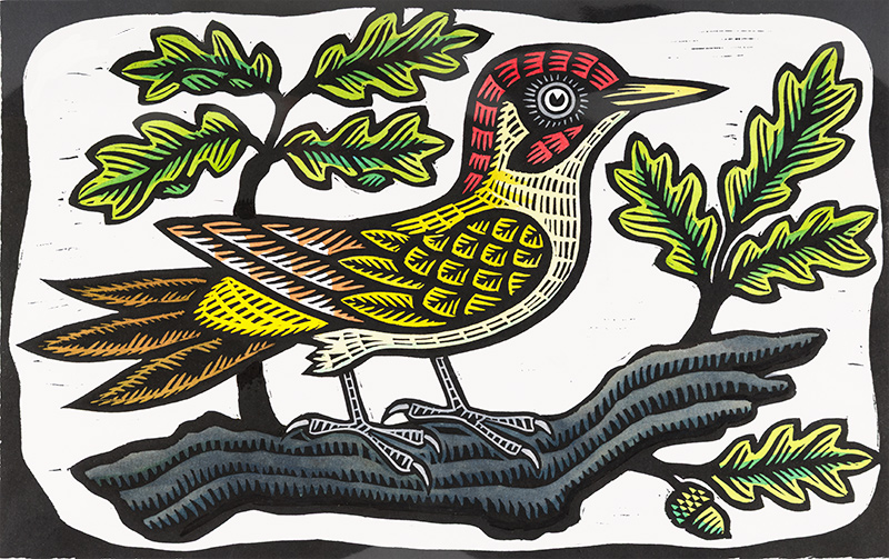 Gerard Hobson, Original linocut print, Poppinjay