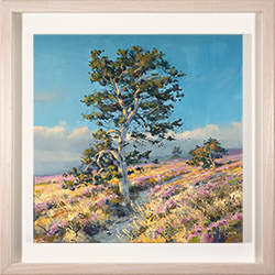 Julian Mason, Original oil painting on canvas, Wheeldale, North York Moors