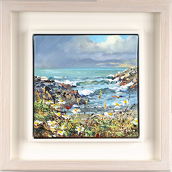 Morar Daises
