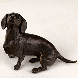 Dachshund Sitting