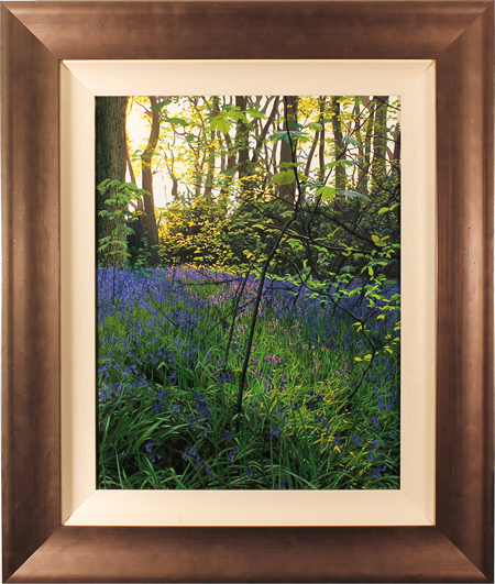 Michael James Smith, Original oil painting on canvas, Bluebells in Little Baddow, Essex, click to enlarge