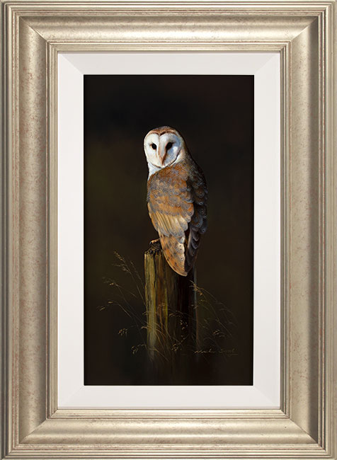 Natalie Stutely, Original oil painting on panel, Male Barn Owl