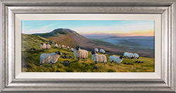 Natalie Stutely, Original oil painting on panel, Swaledale Sheep at Simon Fell, Ingleborough