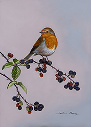 Natalie Stutely, Original oil painting on panel, Robin and Blackberries