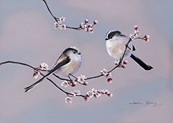 Natalie Stutely, Original oil painting on panel, Long-tailed Tits on Wild Cherry Blossom