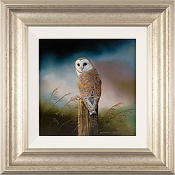Natalie Stutely, Original oil painting on panel, Barn Owl