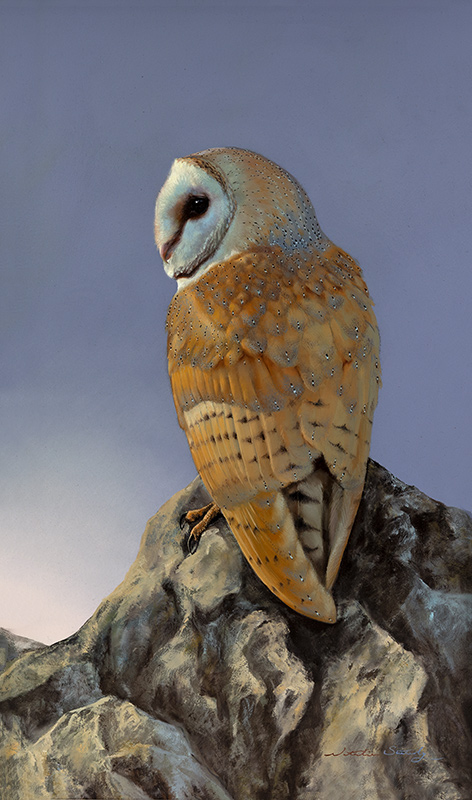 Natalie Stutely, Original oil painting on panel, Barn Owl