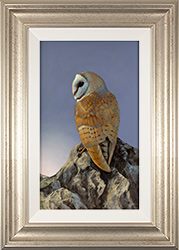 Natalie Stutely, Original oil painting on panel, Barn Owl