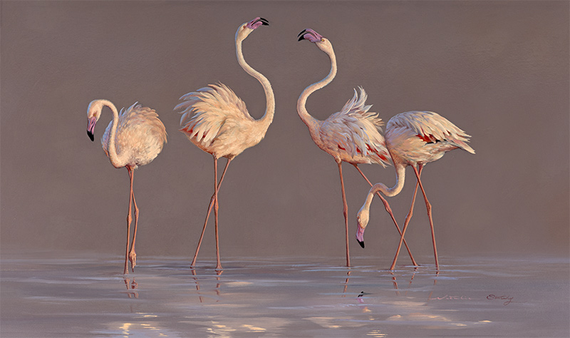 Natalie Stutely, Original oil painting on panel, Greater Flamingo