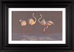 Natalie Stutely, Original oil painting on panel, Greater Flamingo