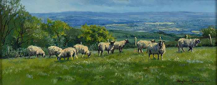Stephen Hawkins, Original oil painting on panel, Summer Grazing, Yorkshire Dales