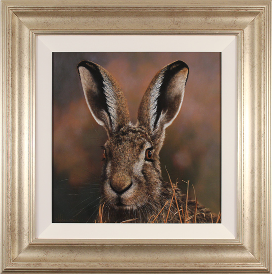 Stephen Park, Original oil painting on panel, The Hare